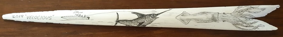 Swordfish Bill Art