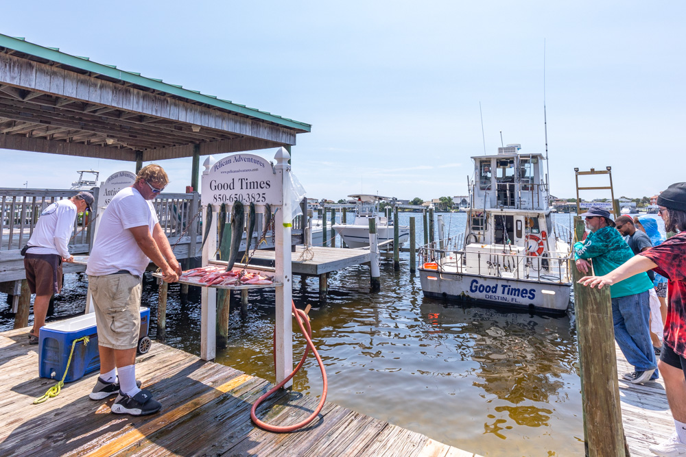 Pelican Adventures crew cleaning and preparing fresh caught fish on Destin Harbor