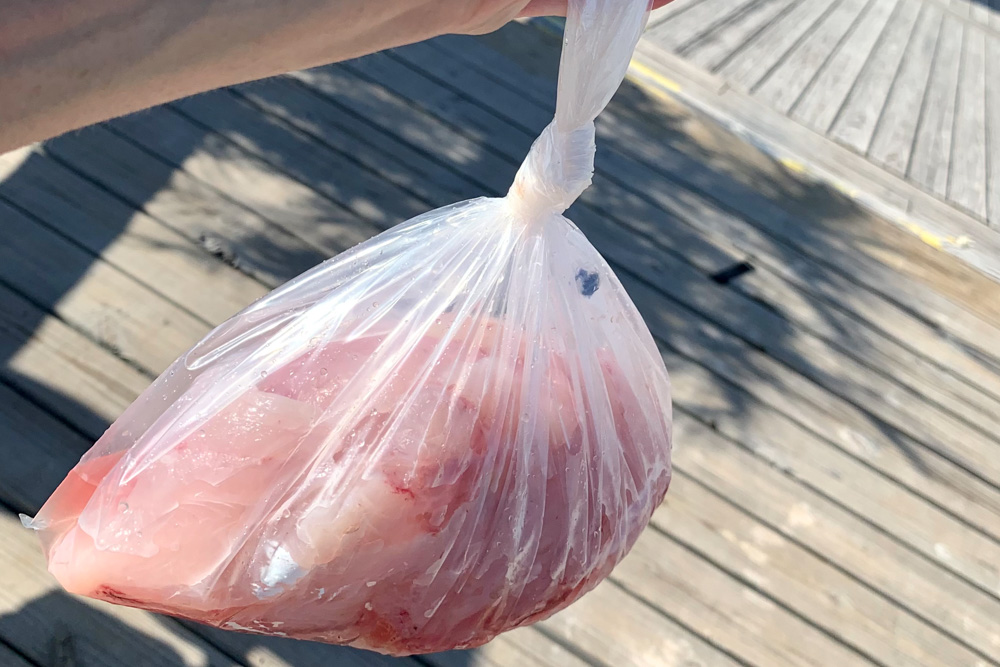 Bag of fish from Pelican Adventures