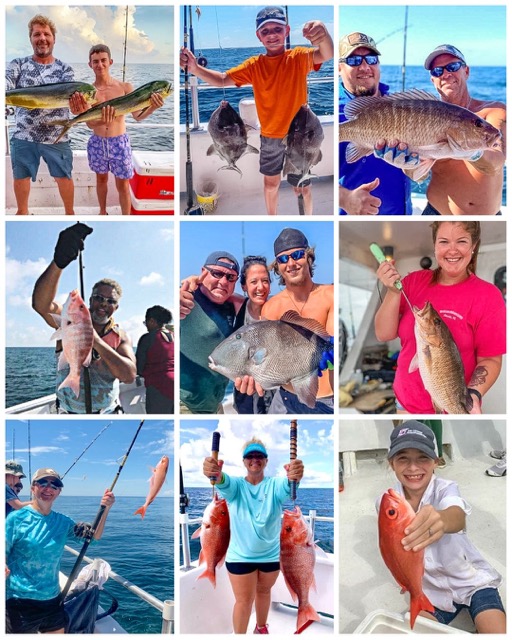 Different species of fish caught in Destin Florida