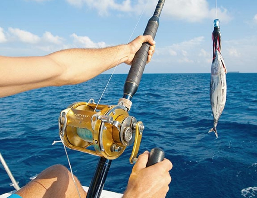 From Waves to Wonders: Exploring the Thrill of Deep-Sea Fishing Tours,  Florida