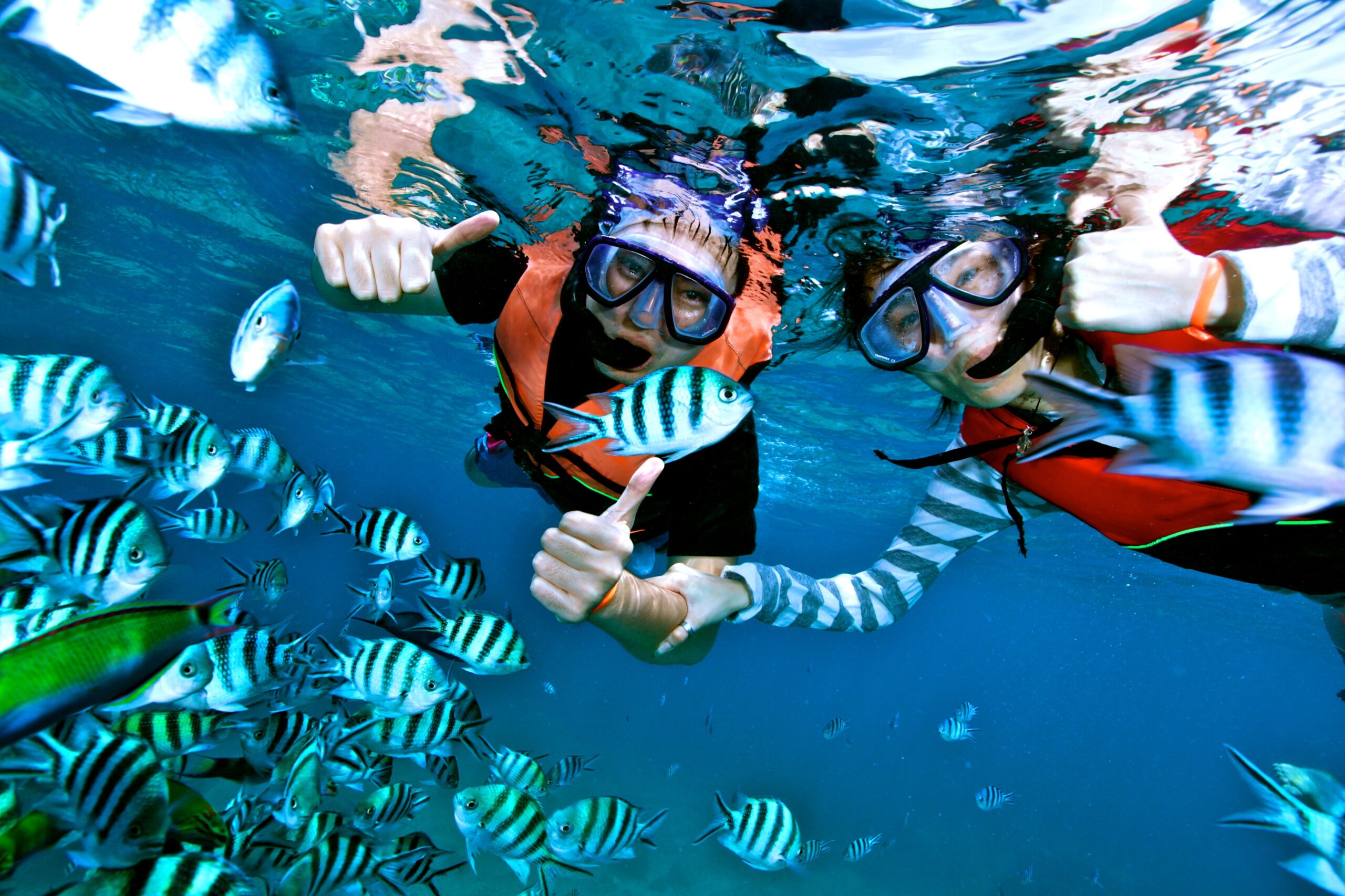 island-info-snorkeling-koh-samui-2-scaled
