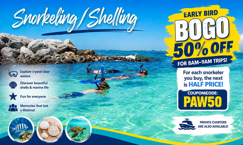 Snorkeling and Shelling in Destin Florida 800