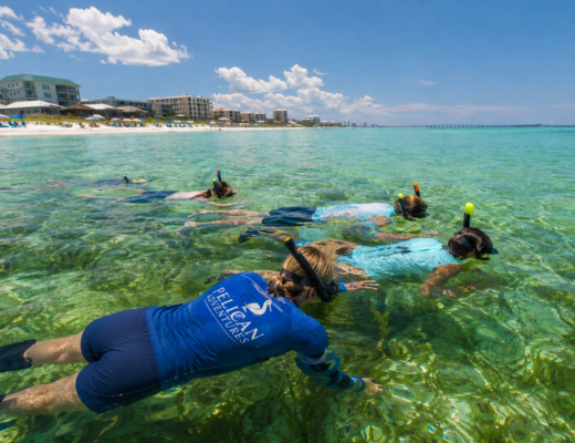 Guided snorkeling trip in Destin FL